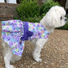 Purple Butterfly Dog Dress