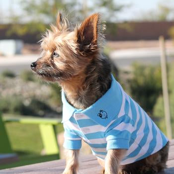 Preppy Puppy Polos