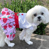 Strawberry Picnic Dog Dress with Matching Leash