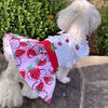 Strawberry Picnic Dog Dress with Matching Leash