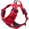 Venture Paw Pull Control Dog Harness