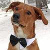 White Collar with Black Satin Bow Tie for Dogs