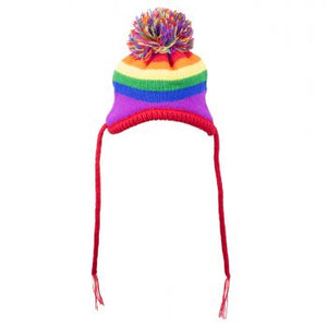 Rainbow Dog Hat