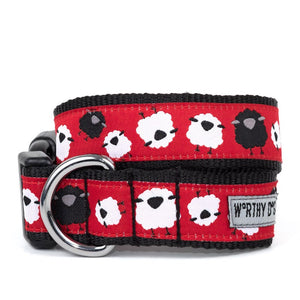 Counting Sheep Dog Collar