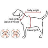 Peppermints Dog Collar
