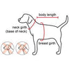 Bias Plaid Red Dog Collar
