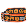 Jack-O-Lantern Dog Collar