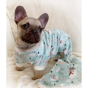 Ultra Soft Minky Bedtime Bears Pajamas