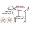 Bitches Love Me Tee for Dogs