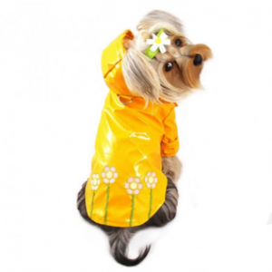 Polka Dots & Daisies Dog Raincoat