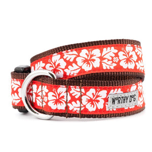 Aloha Dog Collar