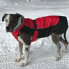 Alpine All-Weather Dog Coat - Red & Black