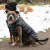 Alpine Extreme Weather Dog Puffer Coat - Black 