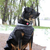 Alpine Extreme Weather Puffer Dog Coat - Black