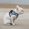 American River Choke Free Dog Harness Camouflage Collection - Gray Camo