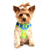 American River Choke-Free Dog Harness Ombre Collection - Cobalt Sport