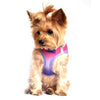 American River Choke-Free Dog Harness Ombre Collection – Raspberry Sundae