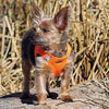 American River Solid Ultra Choke - Free Mesh Dog Harness - Hunter Orange