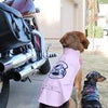 Biker Dawg Motorcycle Dog Jacket Pink