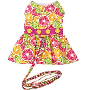 Citrus Slice Dog Dress with Matching Leash