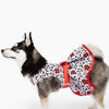 Holiday Dog Harness Dress - Holly