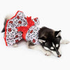 Holly Holiday Dog Harness Dress