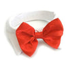 Red Satin Bow Tie Collar