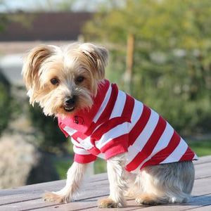 Striped Dog Polo - Flame Scarlet Red and White